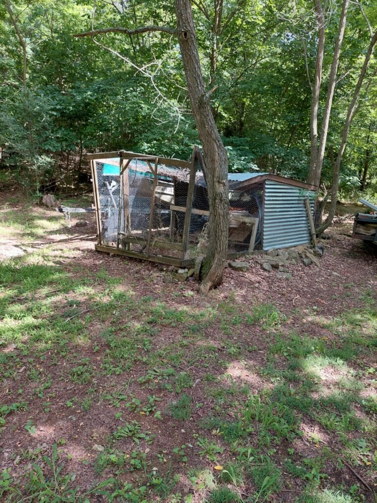 junk pics (2)